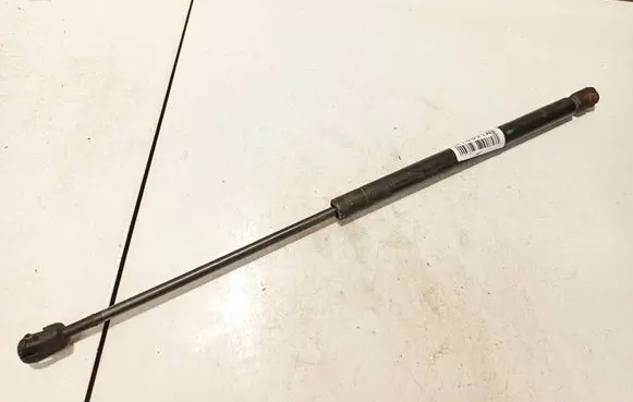 Tailgate/trunk strut/damper