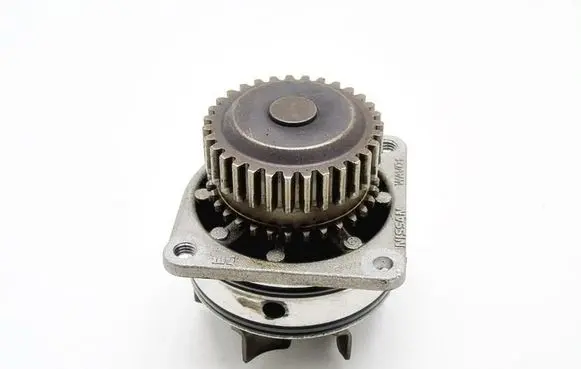 Nissan Maxima Water pump 10710491007