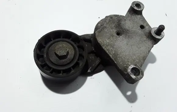 Volvo V70 Timing belt/chain tensioner 825809