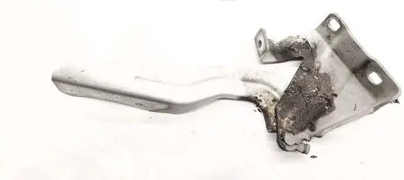 Nissan Qashqai Engine bonnet/hood hinges 4EAR
