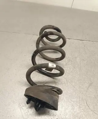 Rear coil spring