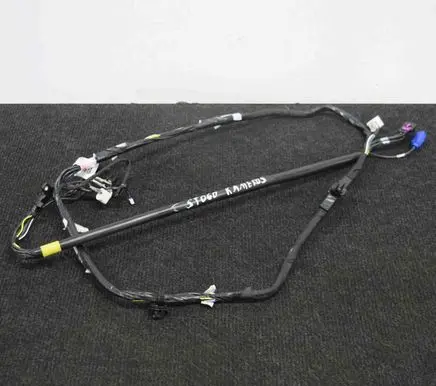 Other wiring loom
