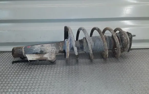 Ford Connect Front shock absorber with coil spring