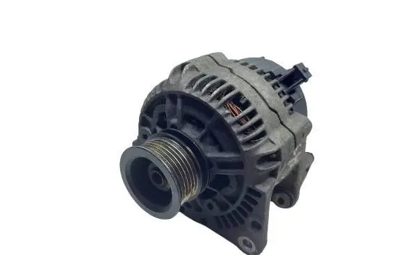 Volkswagen Golf IV Generator/alternator 037903025C-KASACJA 037903025C 0123320034