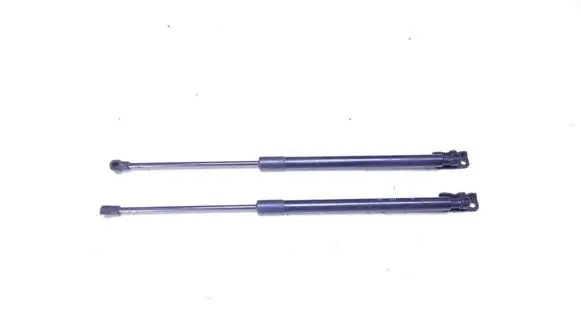 Chevrolet Aveo Rear window strut damper HPM0880363N 95470710