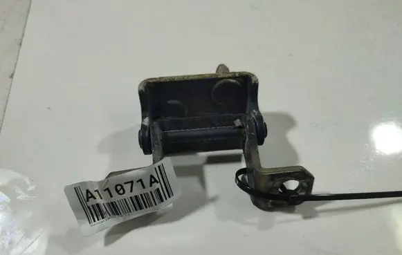 Chevrolet Captiva Rear door lower hinge 
