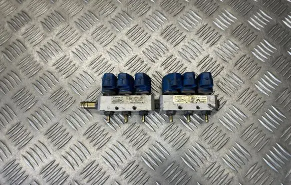 Citroen C5 LP gas injector 67R014303 110R004304