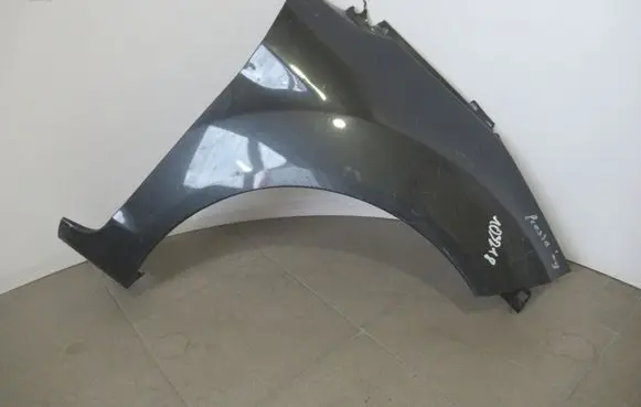 Ford Fiesta Fender