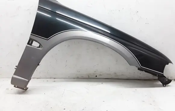 Fender