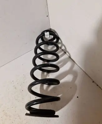 Rear coil spring