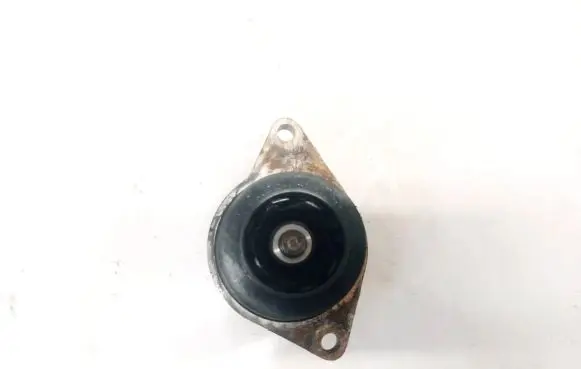 Volkswagen Golf IV Water pump 1717413s