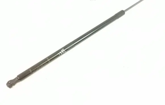 Tailgate strut