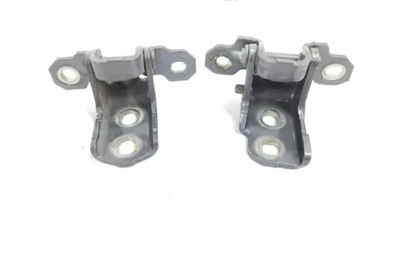 Renault Laguna III Rear door hinge set 