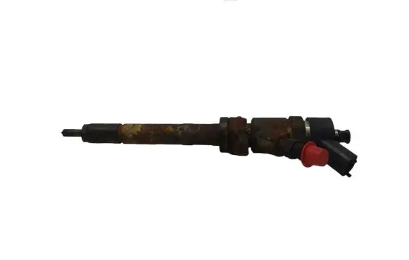 Citroen C5 Fuel injector 892080 0445110188