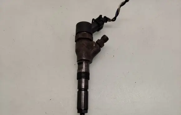 Fiat Scudo Fuel injector 0445110076