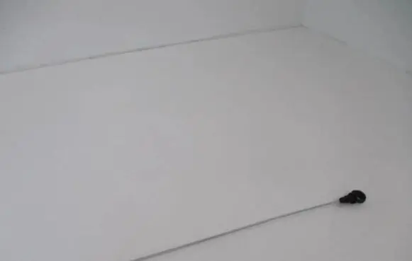 Oil level dip stick