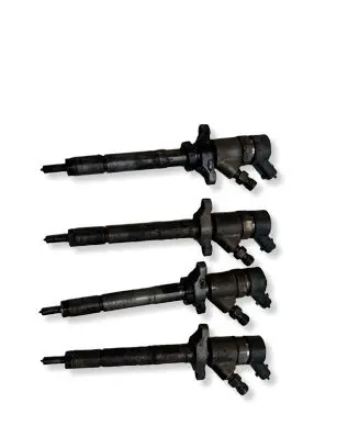 Peugeot 307 Fuel injector 0445110239