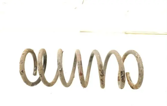 Rear coil spring