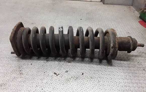 Mercedes-Benz ML W163 Rear shock absorber with coil spring