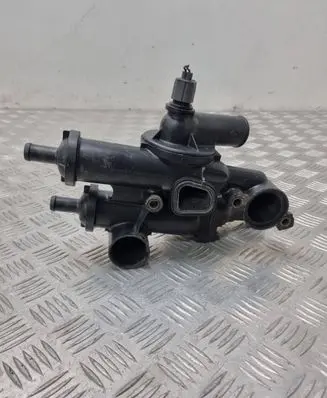 Thermostat/thermostat housing