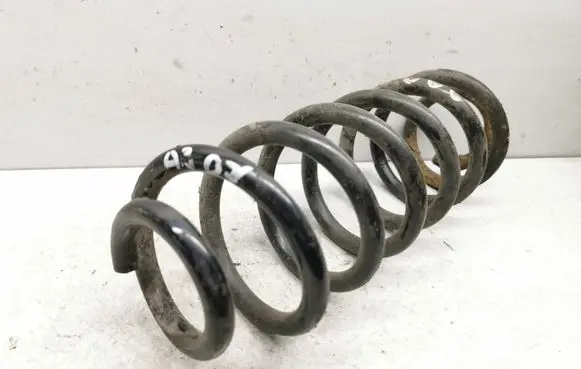 Rear coil spring