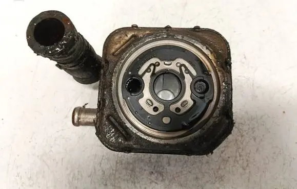 Audi A6 Allroad C5 Engine oil radiator 059117021b