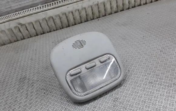 Citroen C5 Front seat light
