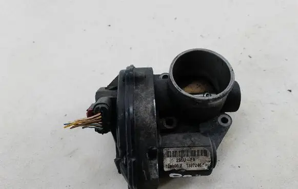Throttle body valve