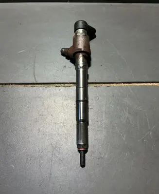Skoda Roomster (5J) Fuel injector a2c9626040080