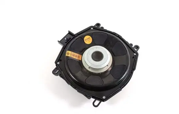 BMW X6 E71 Panel speaker 65139112491