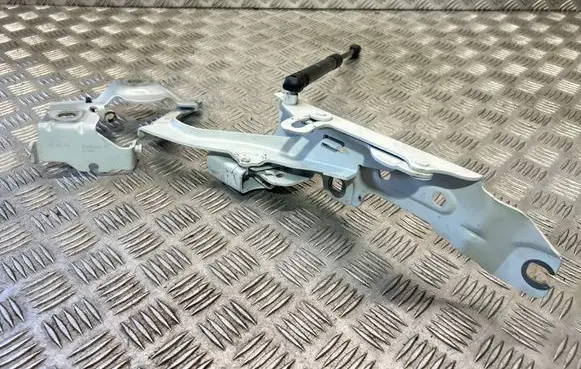 BMW 2 F45 Engine bonnet/hood hinges 7300522