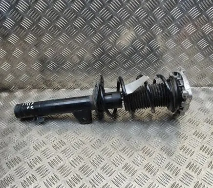 Cupra Born Front shock absorber/damper 1EA412331B 1EA412013DJ