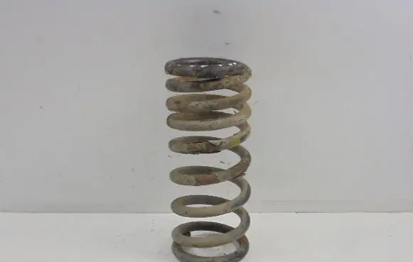 KIA Carnival Rear coil spring