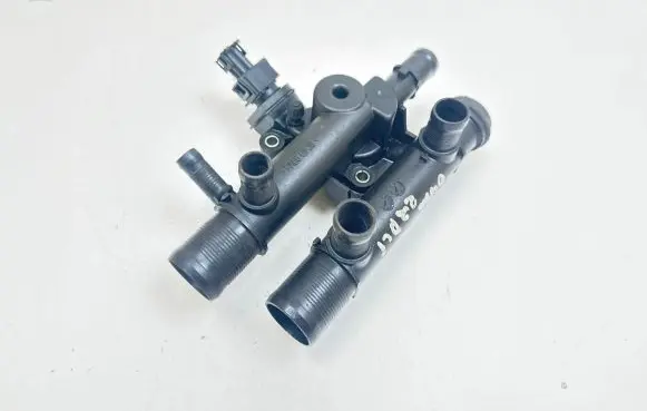 Thermostat/thermostat housing