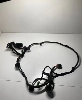 Front door wiring loom
