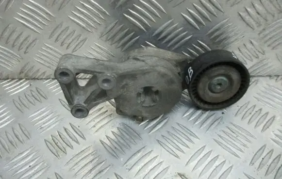 Skoda Fabia Mk1 (6Y) Alternator belt tensioner pulley 