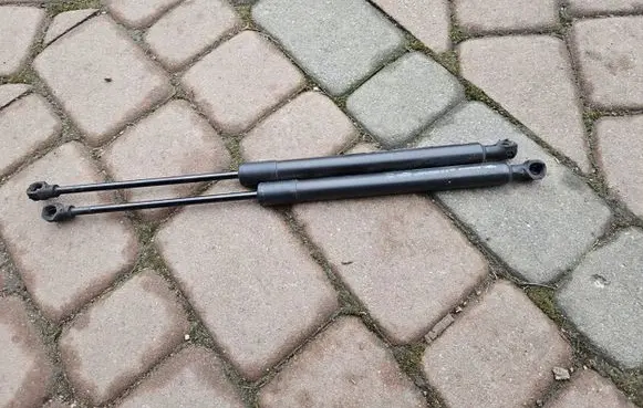 Tailgate/trunk strut/damper