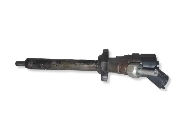 Peugeot 607 Fuel injector 0445110036