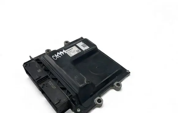 Engine control unit/module ECU