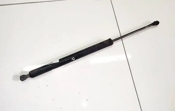 Tailgate/trunk strut/damper