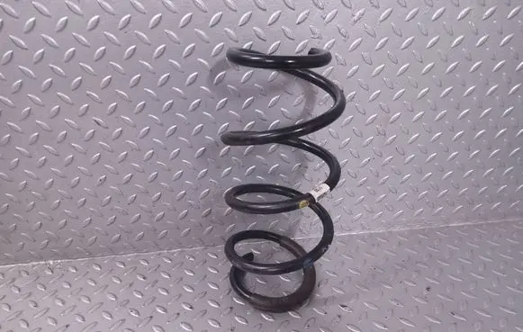 Front coil spring