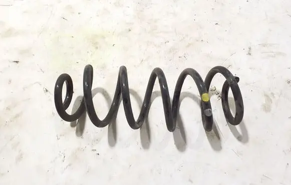 Renault Austral Rear coil spring 550206962R