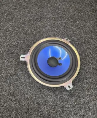 Front door speaker
