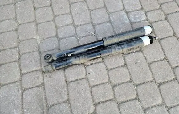 Renault Zoe Rear shock absorber/damper 562102552R
