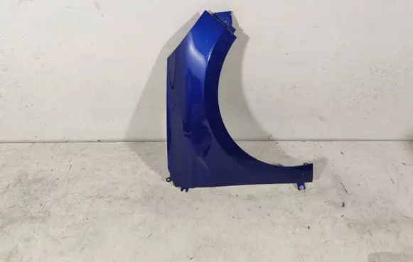 Renault Clio V Fender