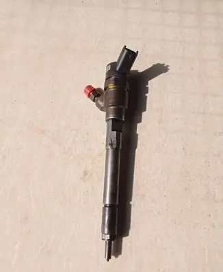 Hyundai Sonata Fuel injector 0445110258