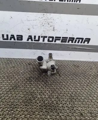 Thermostat/thermostat housing