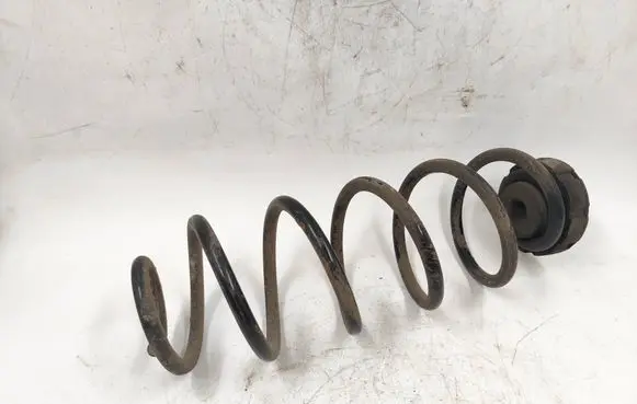 Rear coil spring