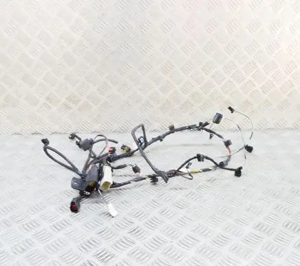 Tesla Model X Other wiring loom 303243803B