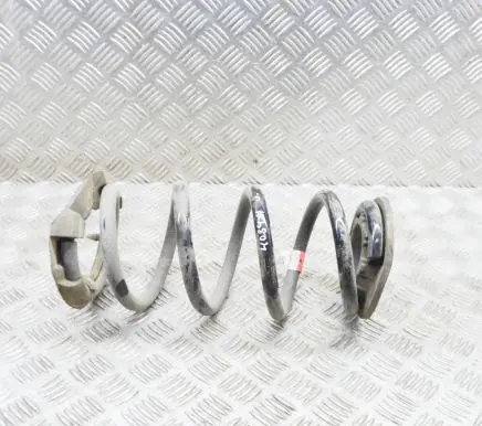 Tesla Model 3 Rear coil spring 104447201E